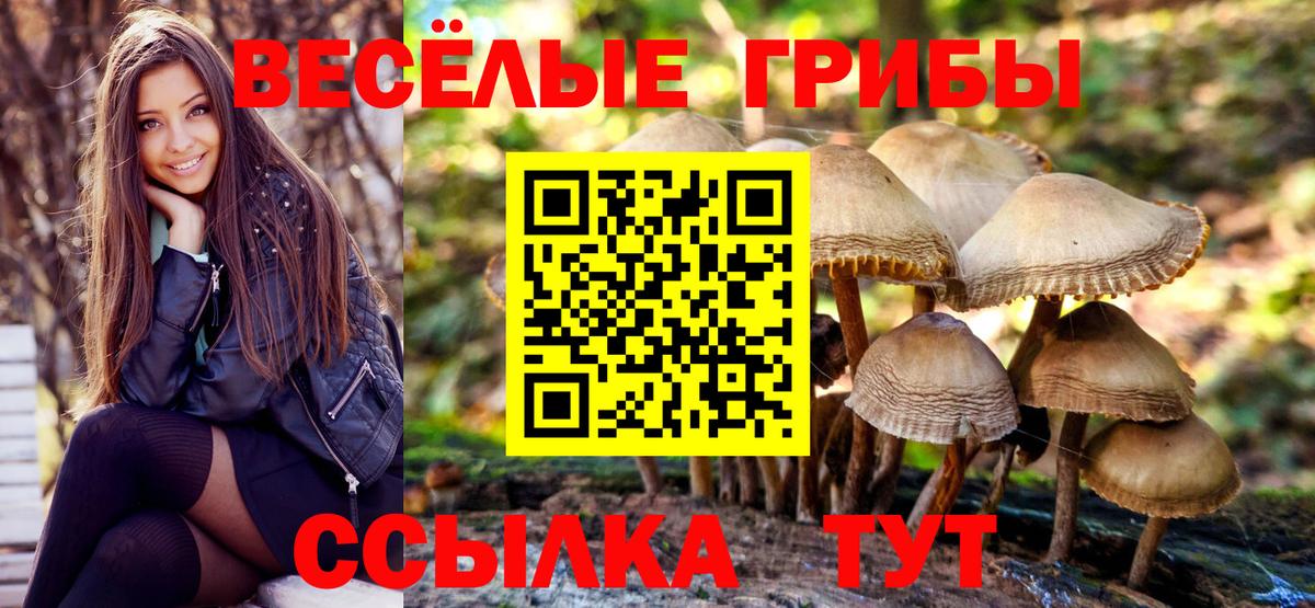 Псилоцибиновые грибы Psilocybine cubensis  Вход с VPN  Балашов  Галлюциногенные грибы мухоморы 